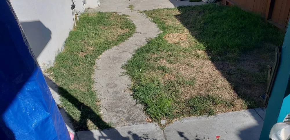 Top-rated landscaping services for homes in Manhattan Beach, CA by Synthetic Dream Lawns & Putting Greens