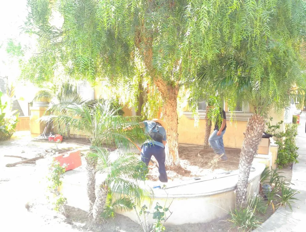 Trusted yard cleanup service for beautiful yards across Manhattan Beach, CA - Synthetic Dream Lawns & Putting Greens