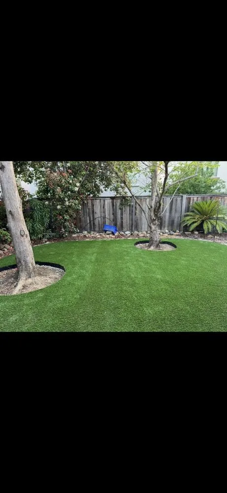 Top-rated landscape design in Rocklin, CA by Synthetic Grass Abi