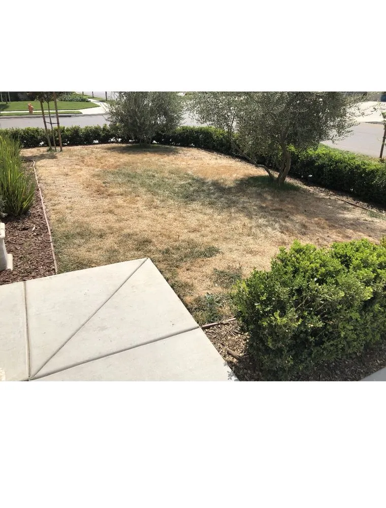 Affordable landscape design in Clovis, CA by Synthetic Grass Showroom