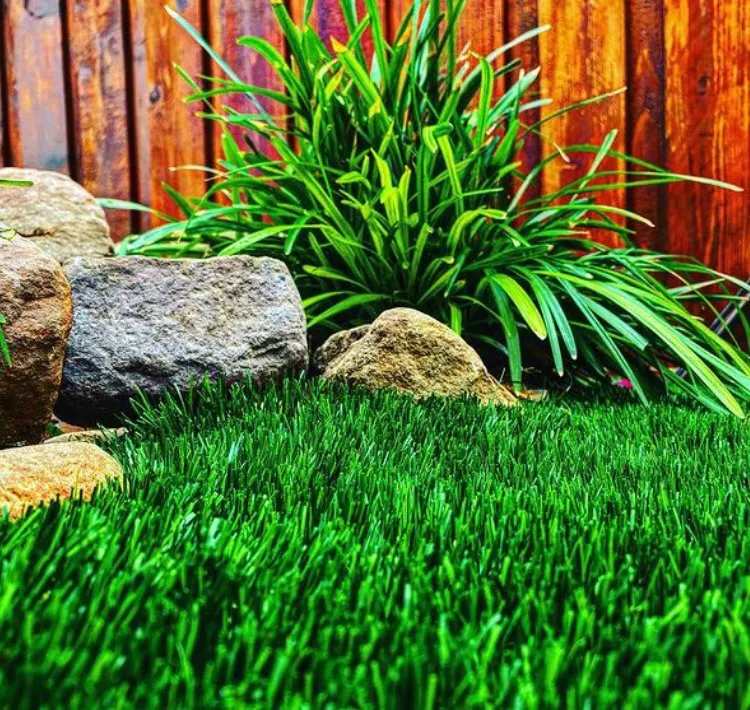 Expert yard cleanup service in Flower Mound, TX by Synthetic Grass Solutions