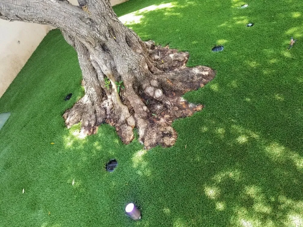 Trusted landscape design near you in Riverside, CA by Synthetic Grass Store of California