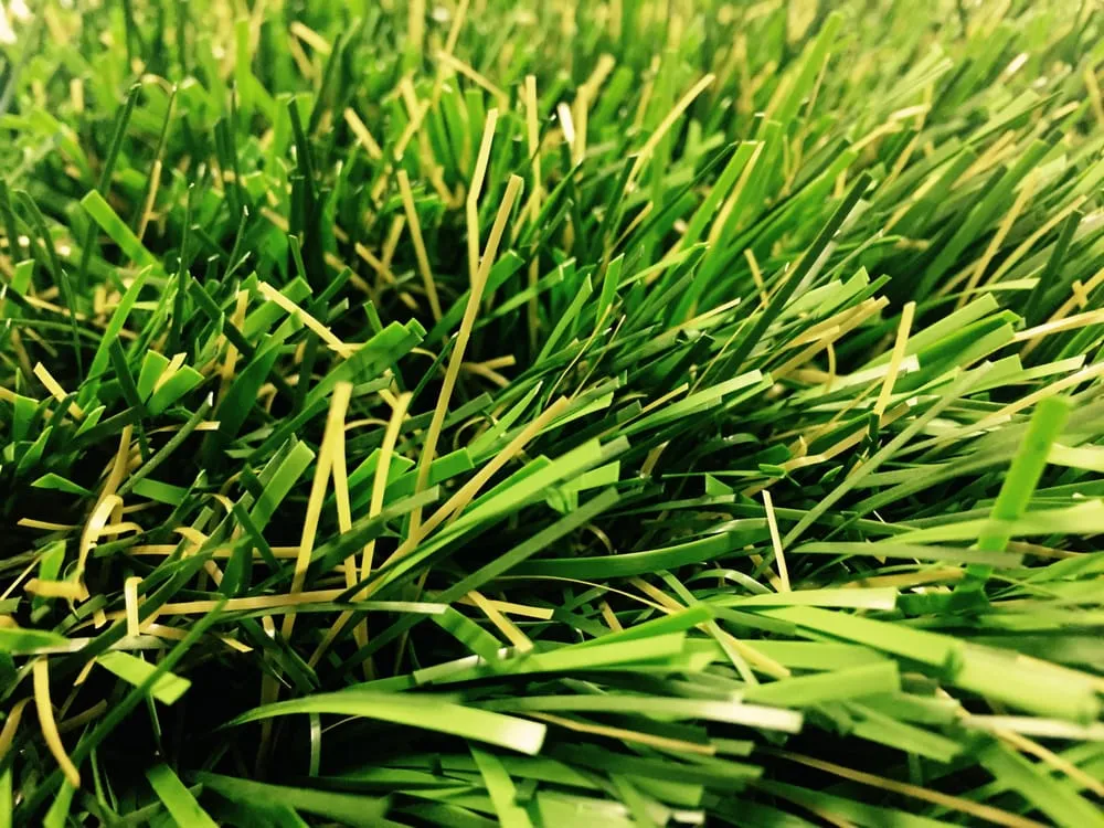Affordable lawn mowing service experts serving Fresno, CA - Synthetic Grass Warehouse - Fresno