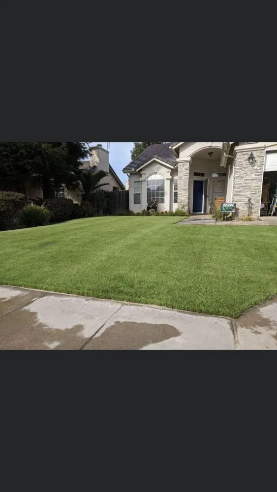 Reliable residential landscaping in Fresno, CA - Synthetic Grass Warehouse - Fresno