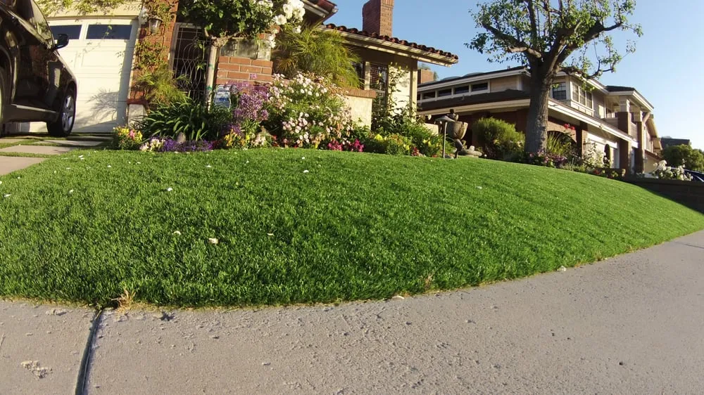Professional outdoor landscaping in Hayward, CA - Synthetic Grass Warehouse - San Francisco