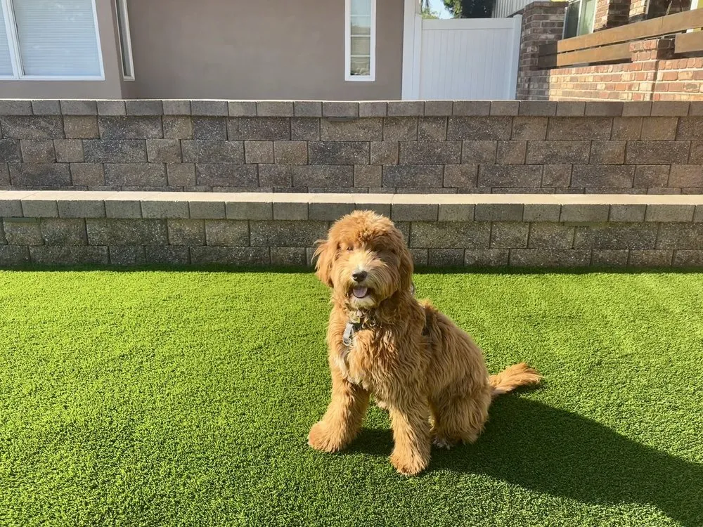 Top-rated landscape installation experts serving Anaheim, CA - Synthetic Grass Warehouse