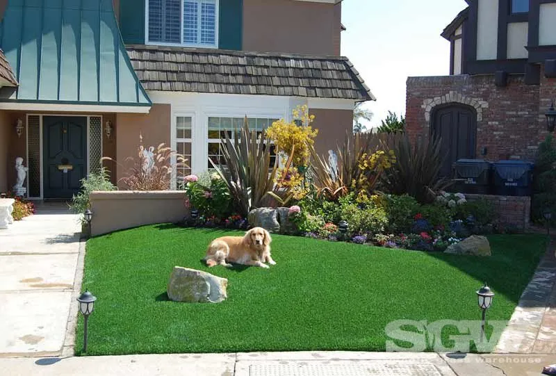 Affordable yard cleanup service experts serving Dallas, TX - Synthetic Grass Warehouse