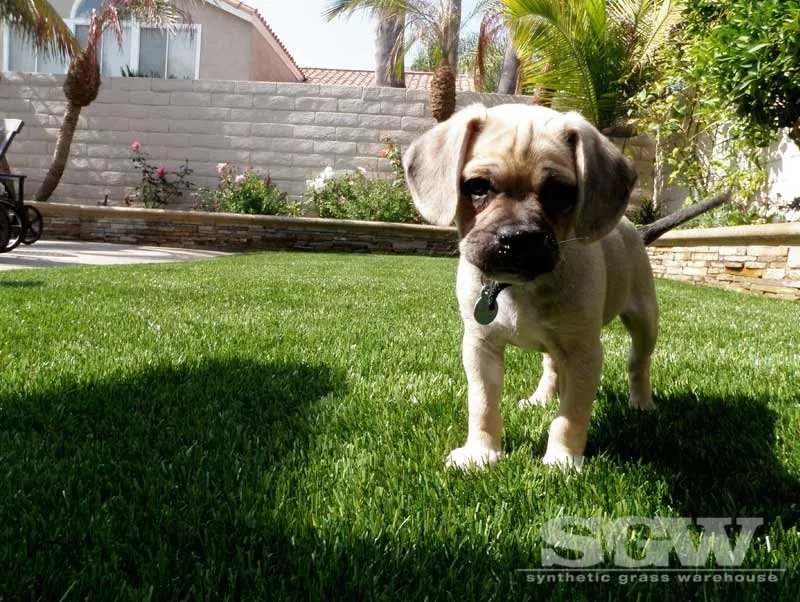 Professional landscape installation for homes across Dallas, TX - Synthetic Grass Warehouse