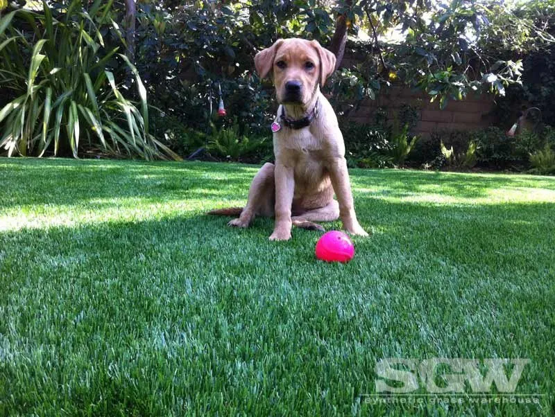 Professional landscape design in Dallas, TX - Synthetic Grass Warehouse