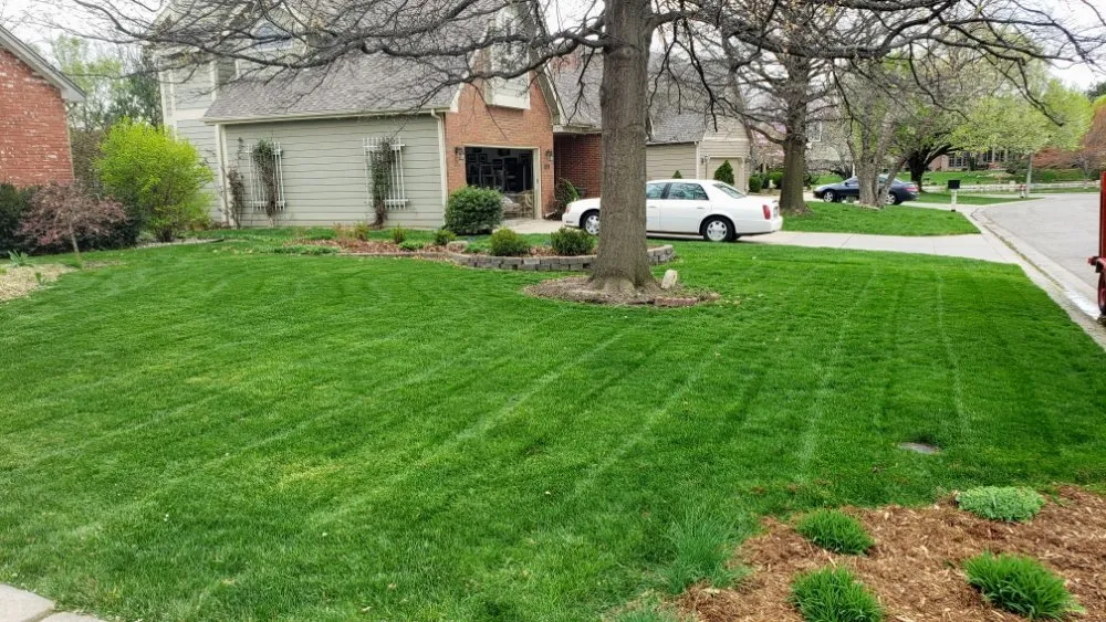 Local lawn care service in Wichita, KS - Synthetic Lawn Care