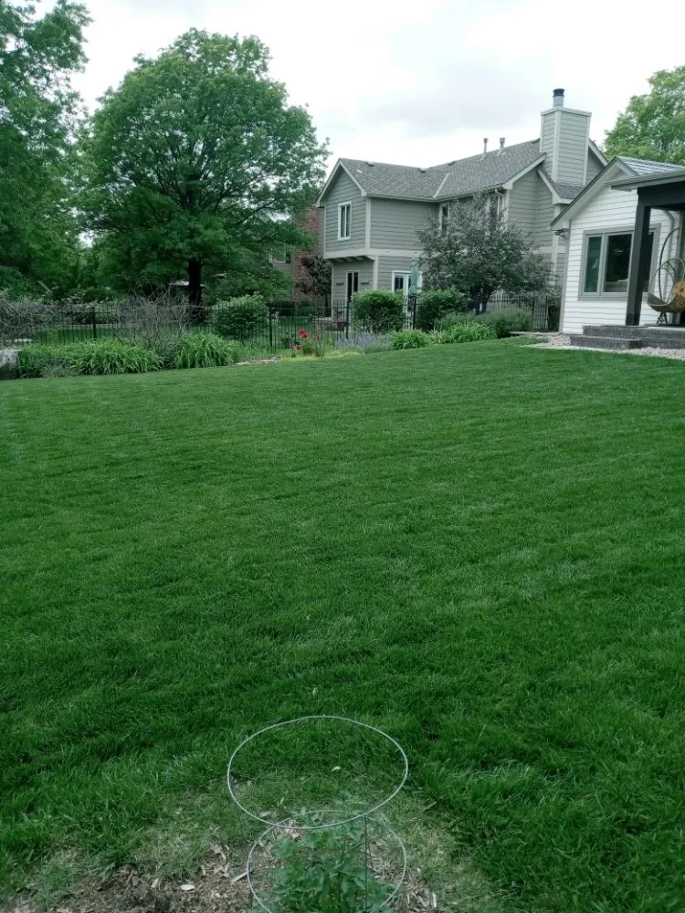Top-rated garden landscaping in Wichita, KS - Synthetic Lawn Care