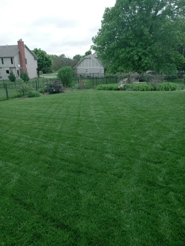 Trusted lawn mowing service experts serving Wichita, KS - Synthetic Lawn Care