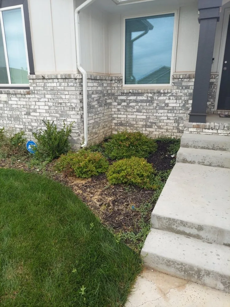 Expert lawn mowing service for residential properties across Wichita, KS - Synthetic Lawn Care