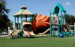 Local lawn care service for beautiful yards in Dalton, GA by Synthetic Turf International