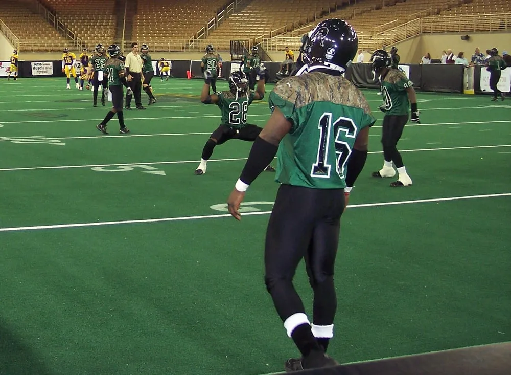 Local lawn mowing service in Dalton, GA - Synthetic Turf International