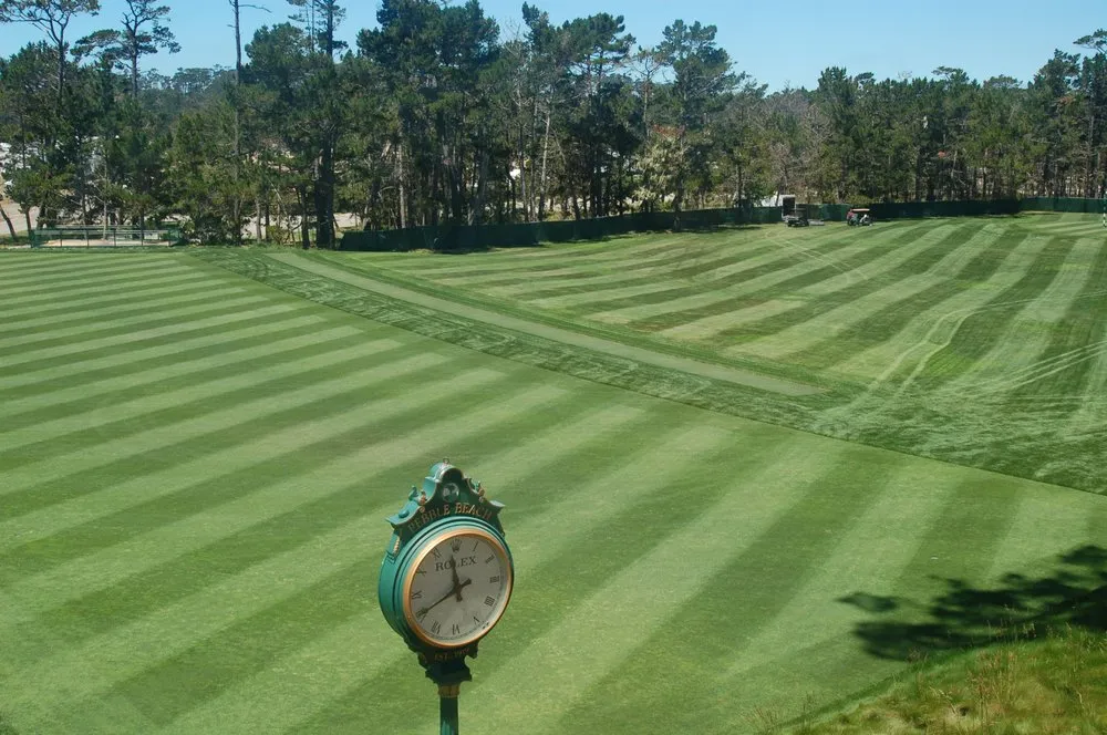 Top-rated lawn care service in Pacific Grove, CA - Synthetic Turf of Monterey Bay