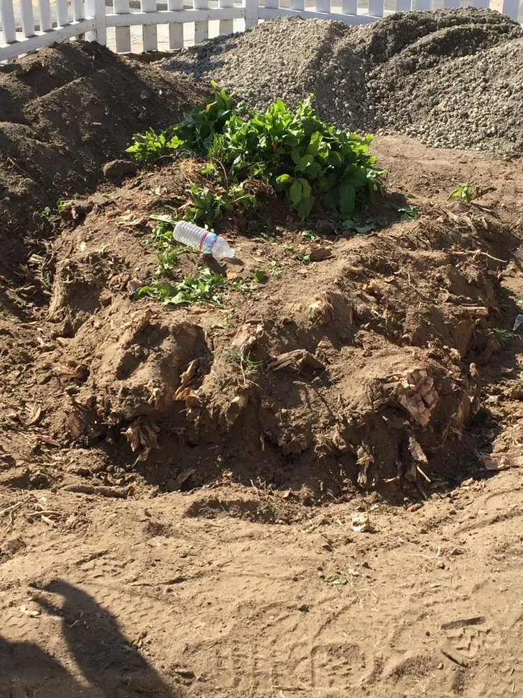 Expert outdoor landscaping for residential properties across Paramount, CA - Synthetic Turf Pros