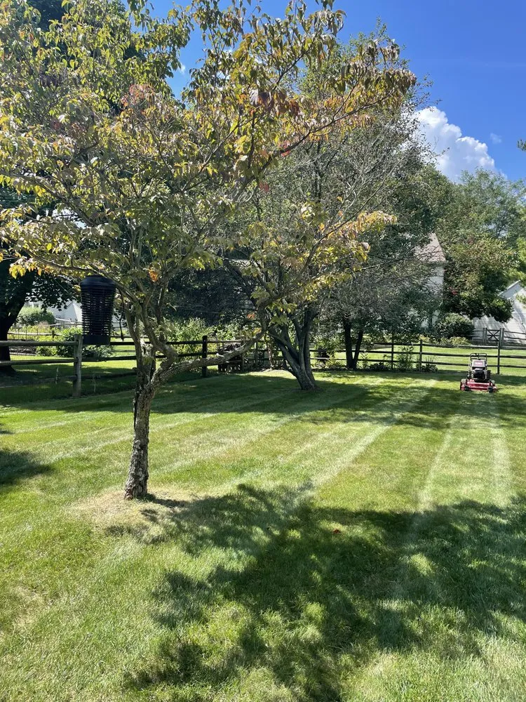 Professional landscaping services experts serving Toledo, OH - Syoofs Landscape