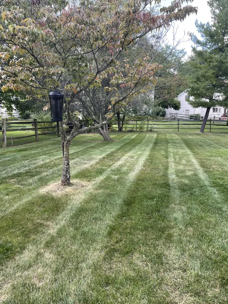 Affordable outdoor landscaping experts serving Toledo, OH - Syoofs Landscape