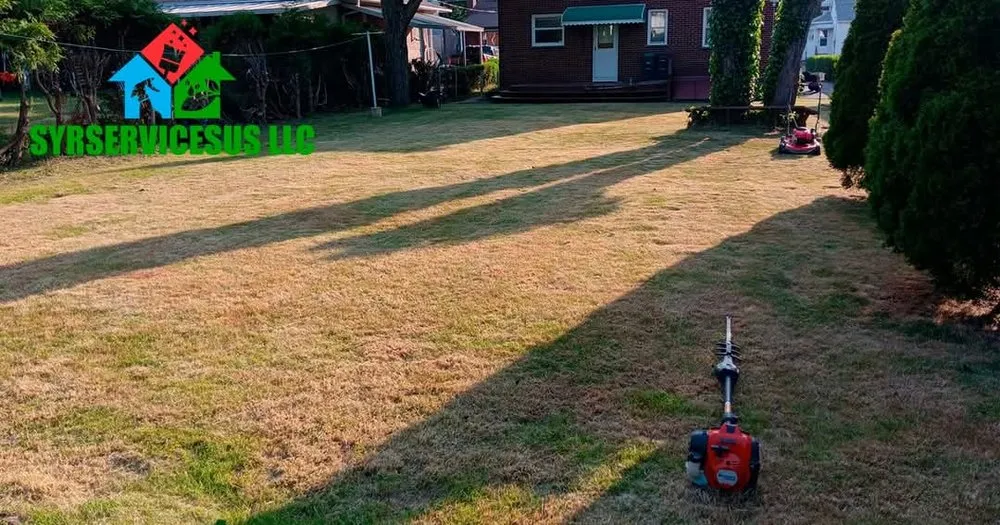 Custom yard cleanup service in Hazleton, PA - SYR Servicesus