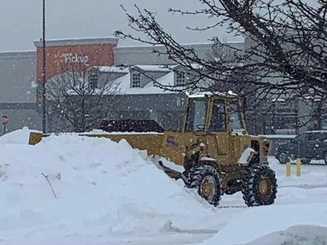 Top-rated garden landscaping near you in Bensalem, PA by Syron