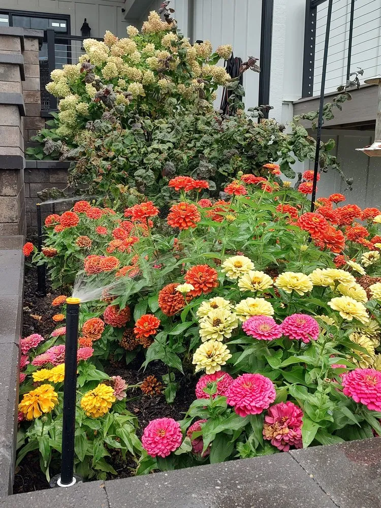 Local residential landscaping for outdoor upgrades in Delavan, WI by Systems Design