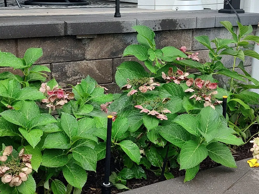 Professional yard cleanup service near you across Delavan, WI - Systems Design