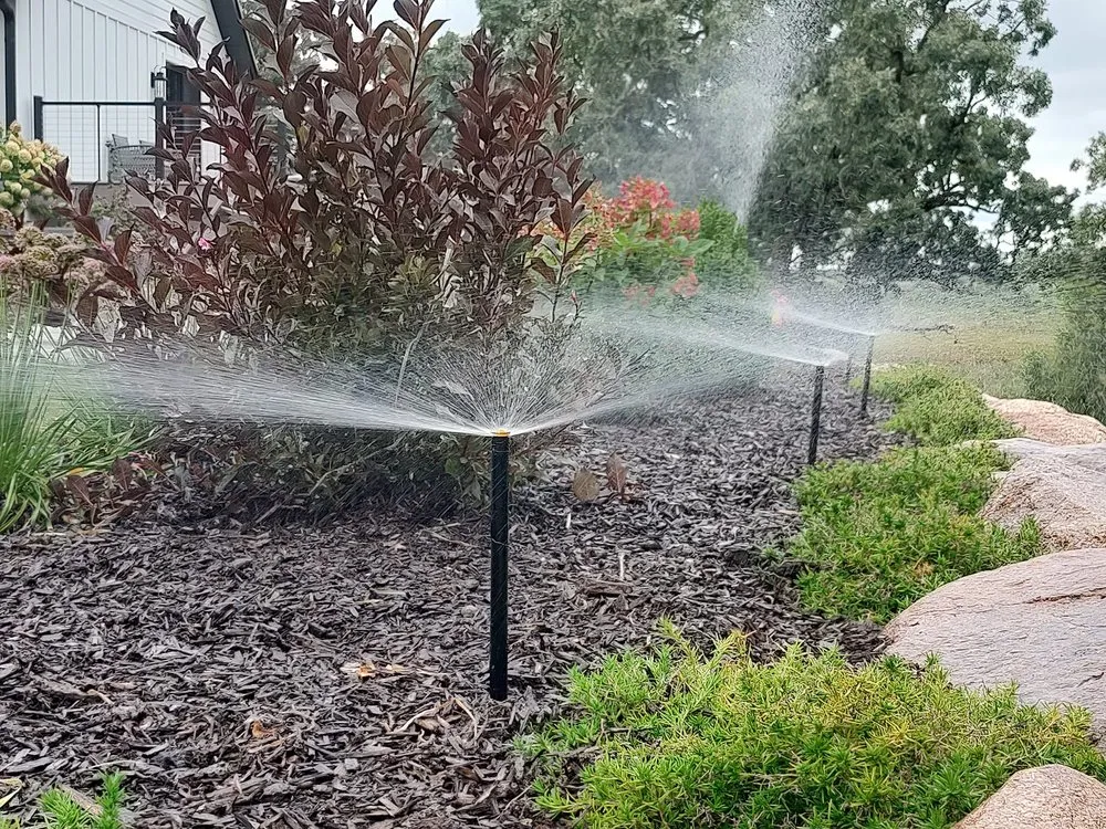 Trusted landscaping services near you across Delavan, WI - Systems Design