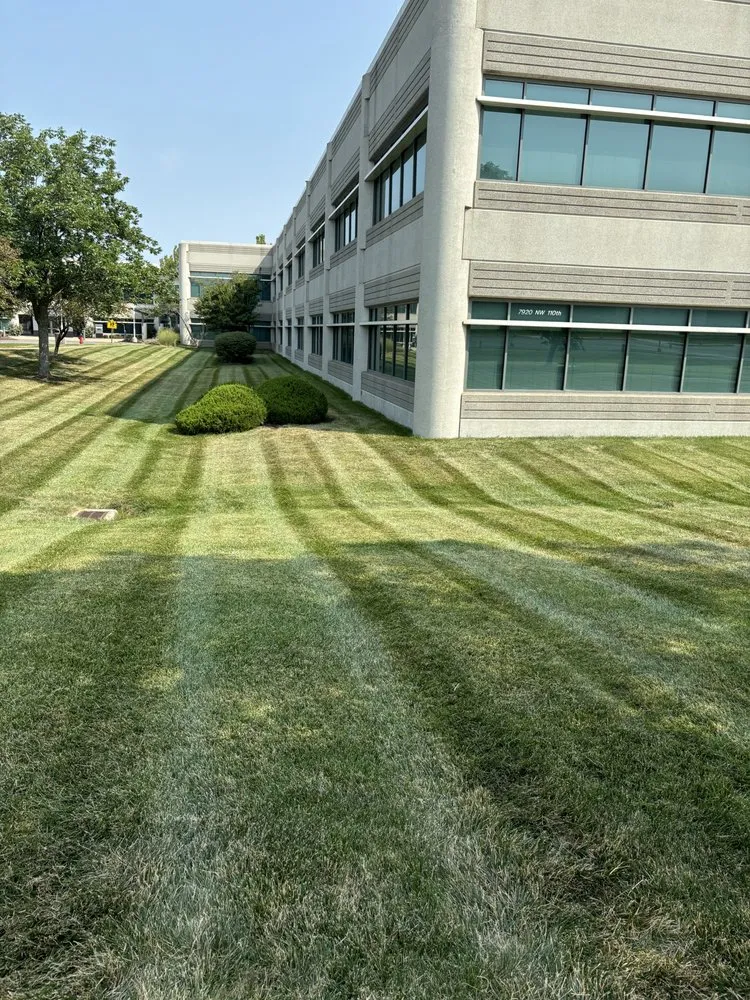 Expert landscaping services with custom design across Independence, MO - SYY Lawn Care