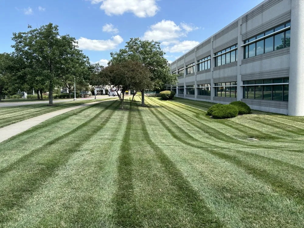 Professional yard cleanup service in Independence, MO by SYY Lawn Care