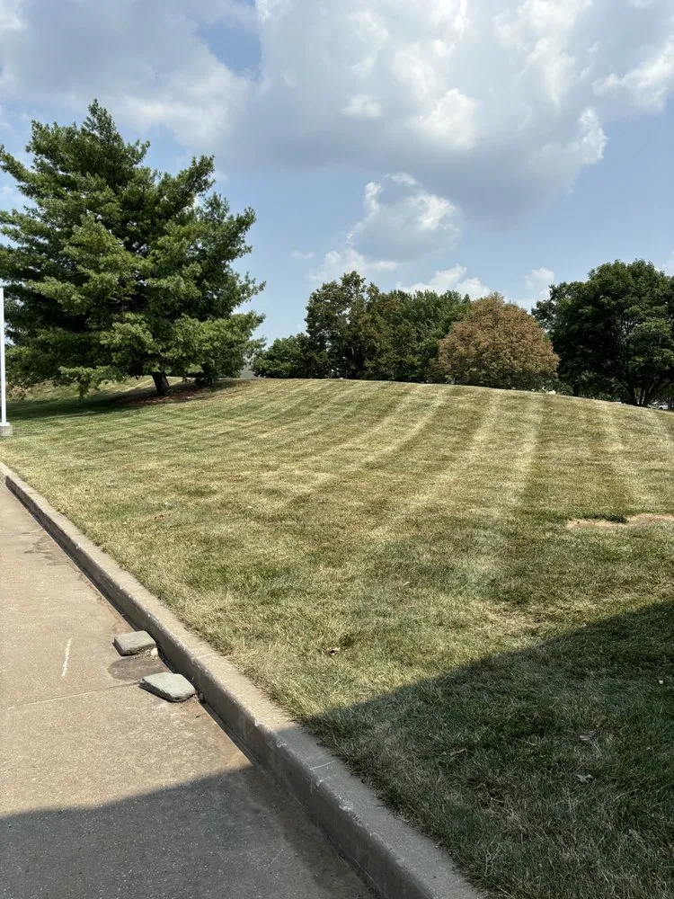 Reliable residential landscaping in Independence, MO by SYY Lawn Care