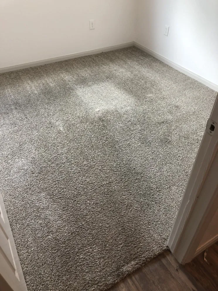 Reliable yard cleanup service experts serving Edinburg, TX - S&Z Home Services