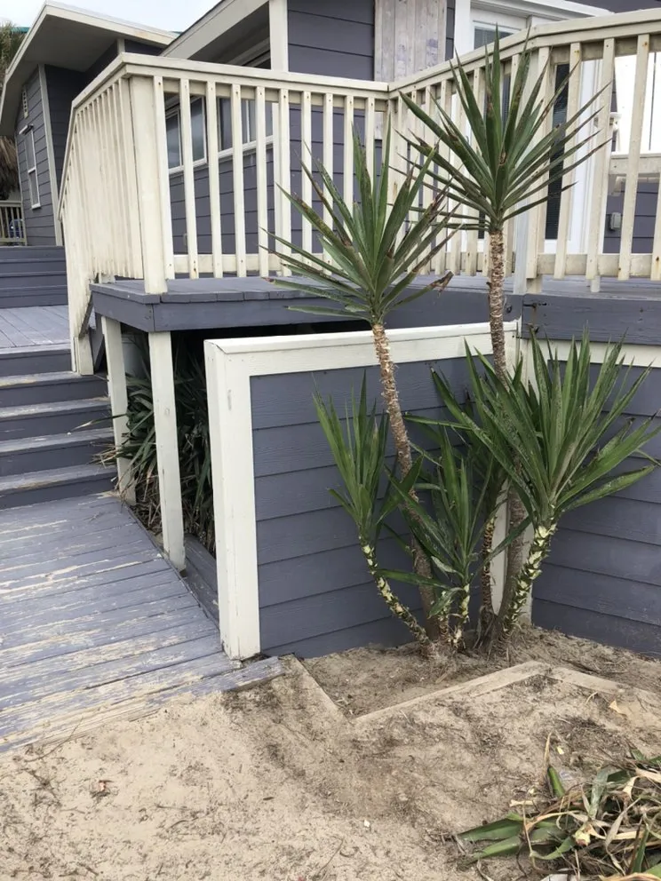 Local landscape installation for homes in Edinburg, TX by S&Z Home Services