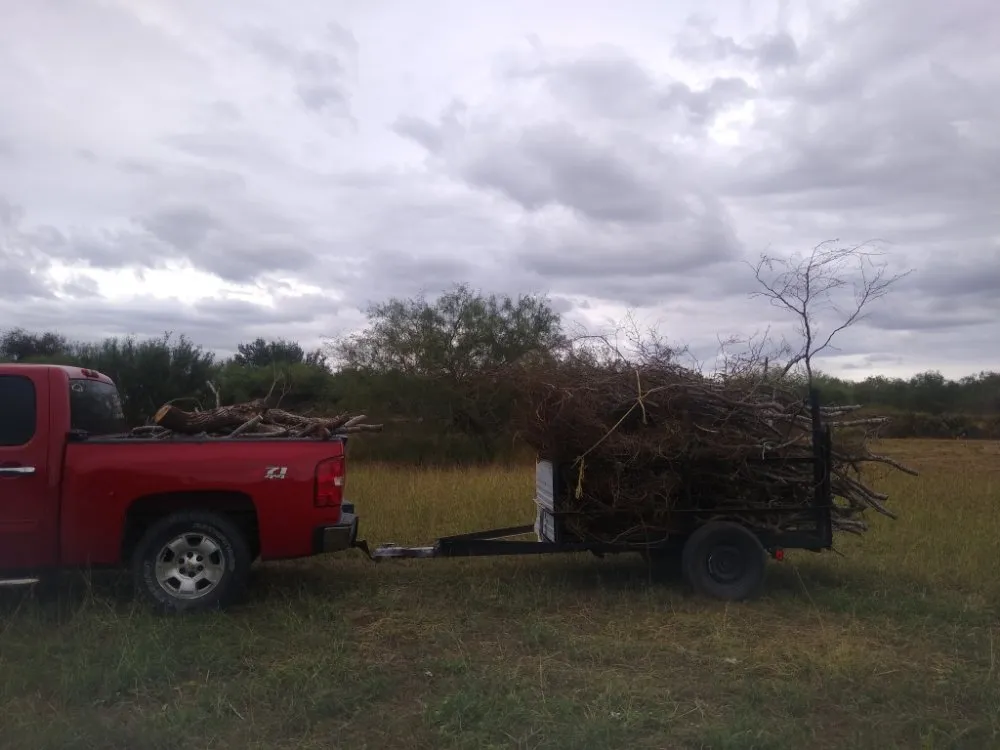 Reliable landscaping services near you in Edinburg, TX by S&Z Home Services