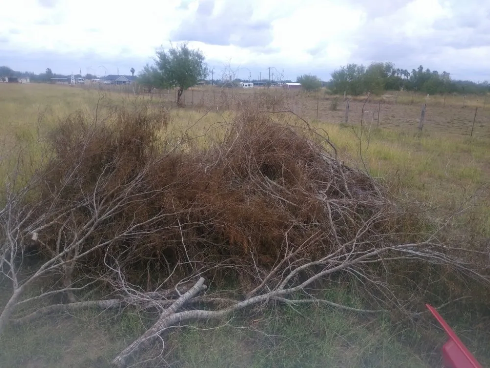 Trusted lawn mowing service in Edinburg, TX - S&Z Home Services