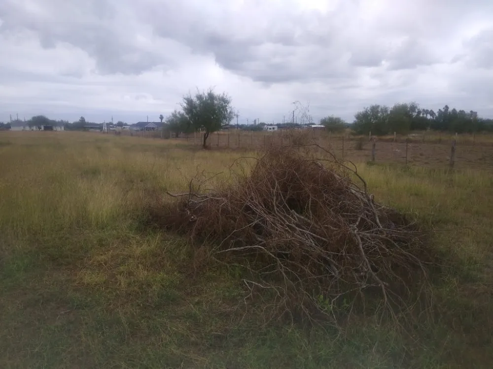 Professional yard cleanup service experts serving Edinburg, TX - S&Z Home Services