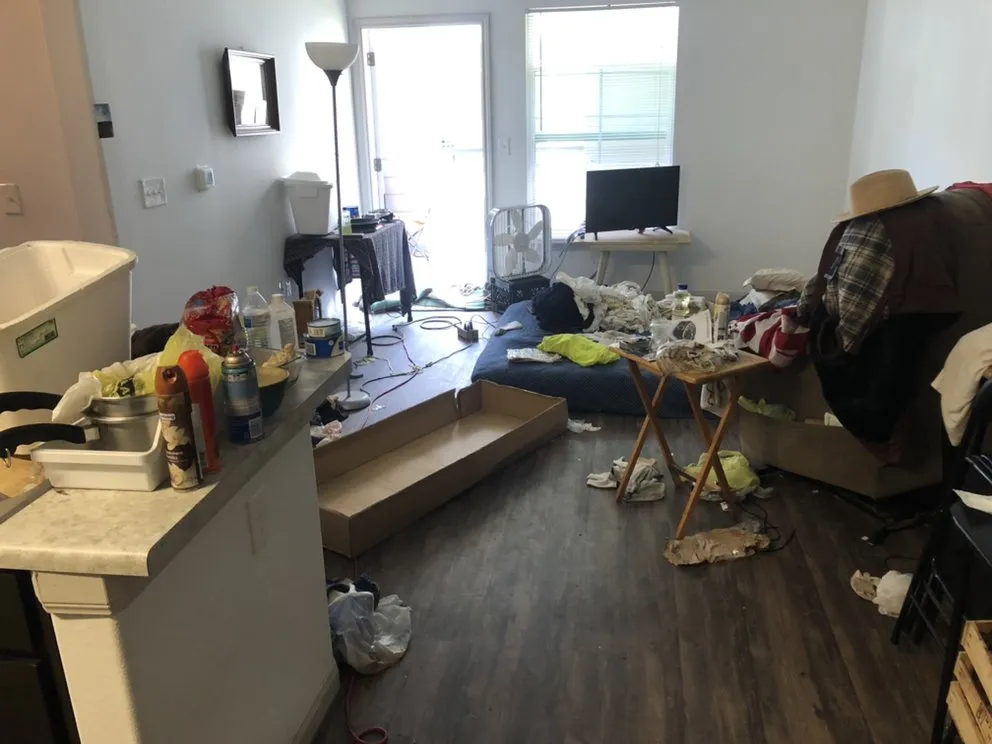 Reliable lawn care service in Edinburg, TX - S&Z Home Services