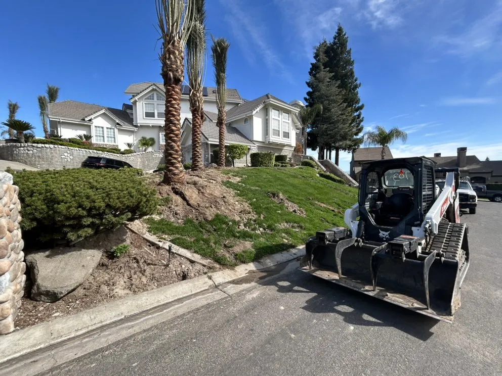 Affordable yard cleanup service for residential properties across Manteca, CA - SZ Landscape Services
