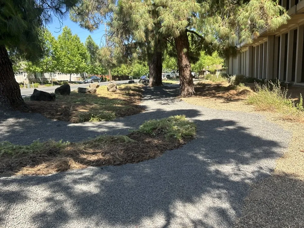 Affordable lawn care service in Manteca, CA by SZ Landscape Services