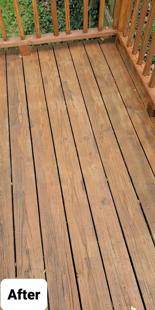 Reliable yard maintenance for homes across Salisbury, MD - S&Z Pressure Washing