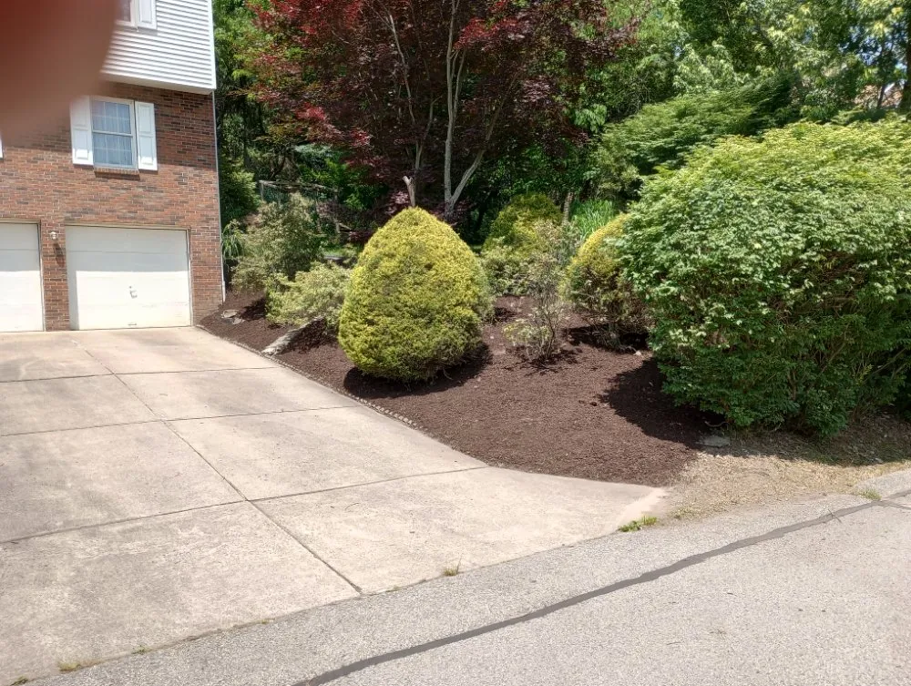 Expert landscape installation experts serving Penn hills, PA - Szulc Scapes