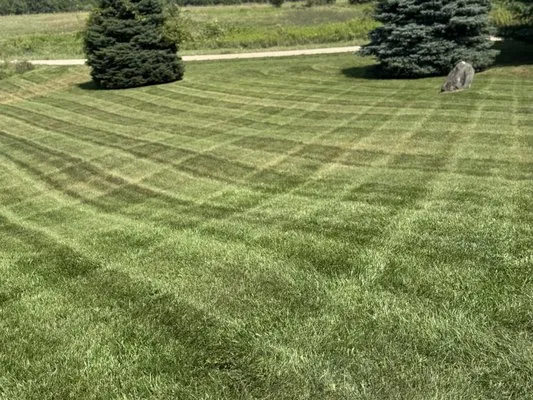 T & A Lawn Care