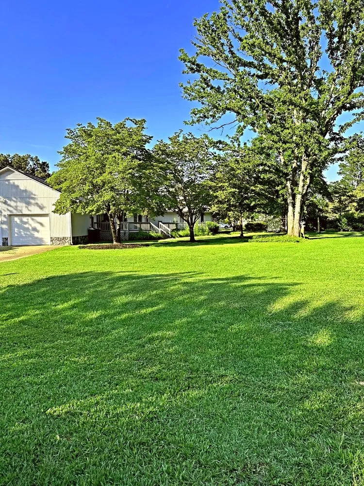 Reliable landscape installation for beautiful yards across Fayetteville, NC - T & A Lawncare