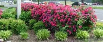 Top-rated outdoor landscaping for year-round maintenance across California, MD - T & A Lawnscape