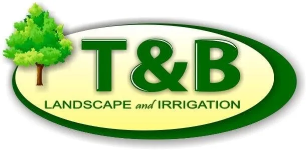Professional lawn care service with custom design across Andover, MA - T & B Landscape & Irrigation