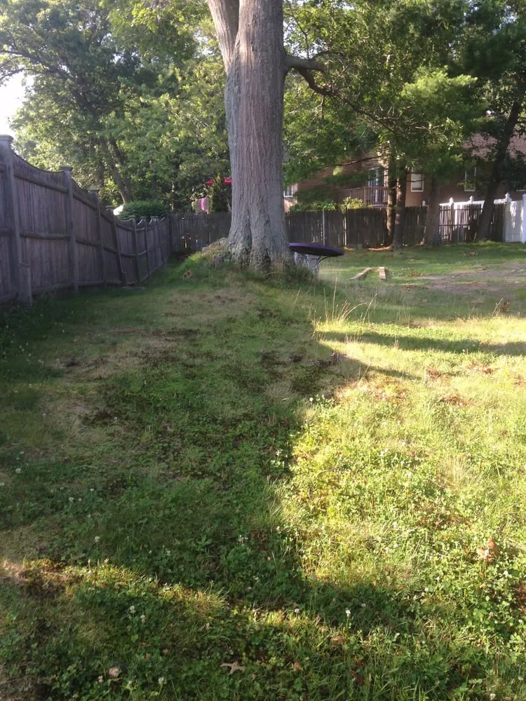 Top-rated landscaping services with custom design across Andover, MA - T & B Landscape & Irrigation