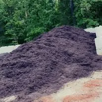 Affordable yard maintenance experts serving Cumberland, VA - T & B Landscaping & Tree Service