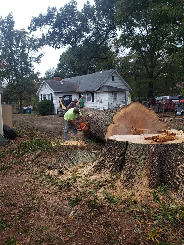 Expert landscape installation for year-round maintenance in Cumberland, VA by T & B Landscaping & Tree Service