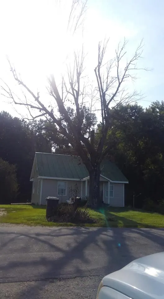 Reliable yard maintenance for homes across Cumberland, VA - T & B Landscaping & Tree Service