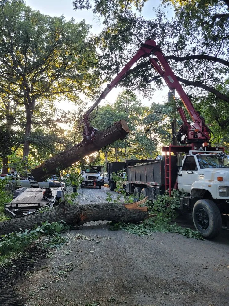 Local landscaping services in Cumberland, VA by T & B Landscaping & Tree Service